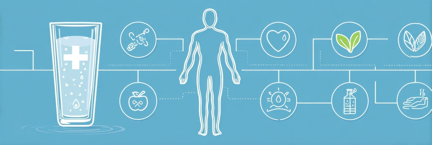a health diagram showing the importance of water for health