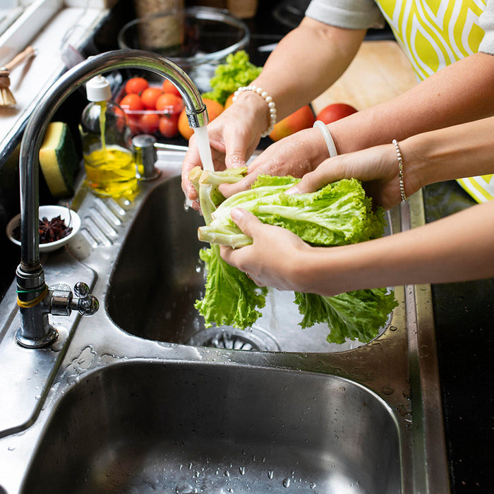 Sub-Micron Whole House Water Filter Systems: Essential Information for Homeowners - IFilters