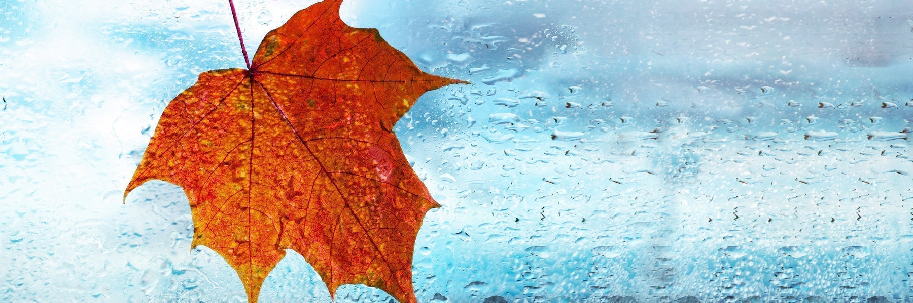 Common Water Changes in Fall