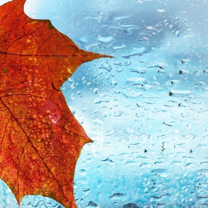 Common Water Changes in Fall