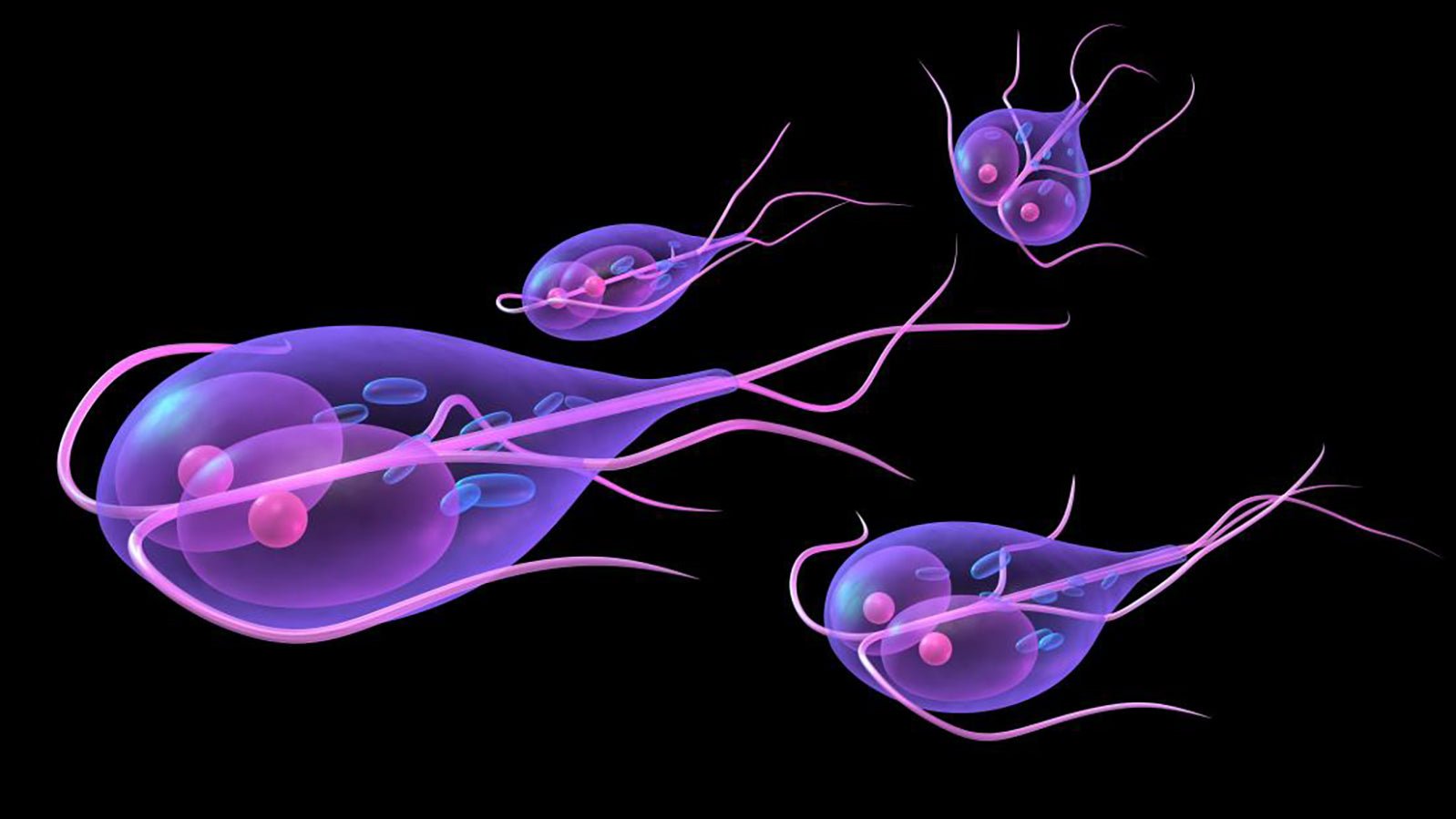 Reverse Osmosis Water Filters: Guarding Against Giardia - IFilters