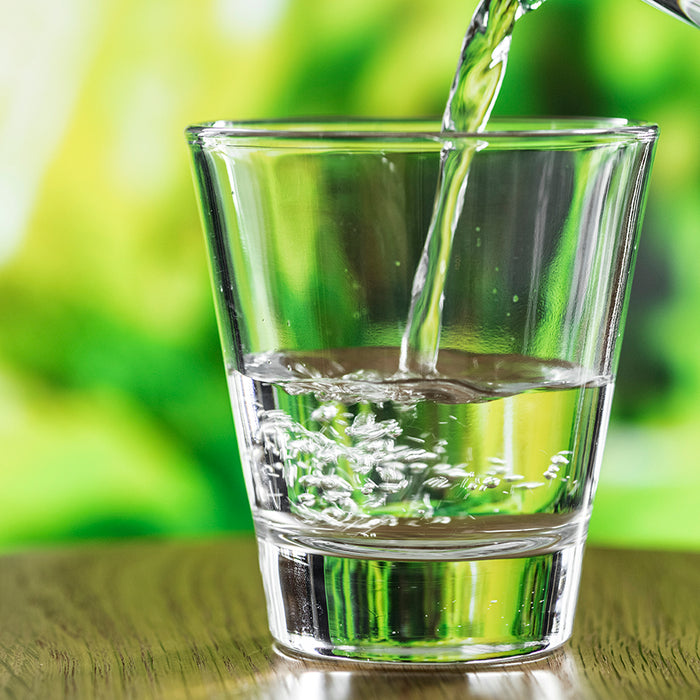 Microorganisms in Drinking Water: Solutions for Safe Water