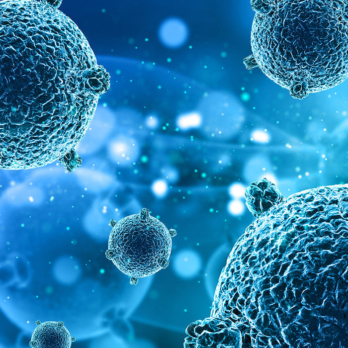 Enteric Viruses in Drinking Water: Essential Information - IFilters