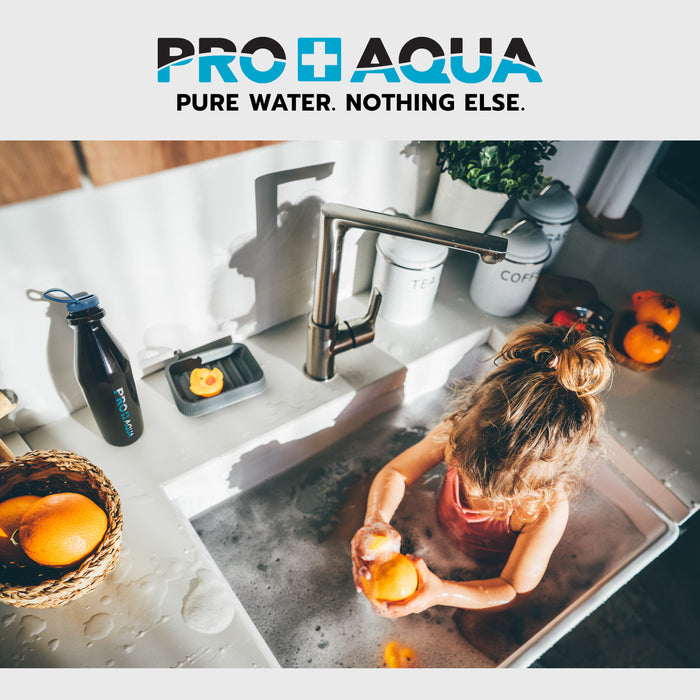 Pro+Aqua Premium 100 GPD RO System, Fast Flow, 6 gal holding tank, Black